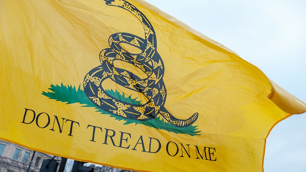 Gadsen flag